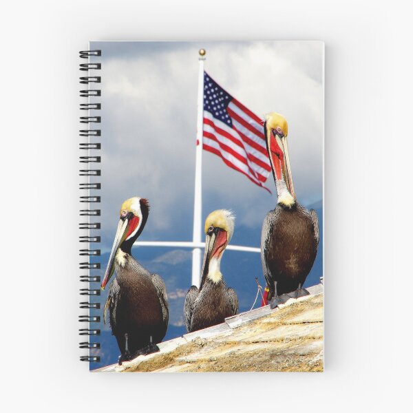 Item preview, Brown Pelicans Protecting The Flag designed and sold by howardbragen.
