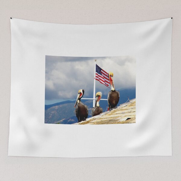 Item preview, Brown Pelicans Protecting The Flag designed and sold by howardbragen.