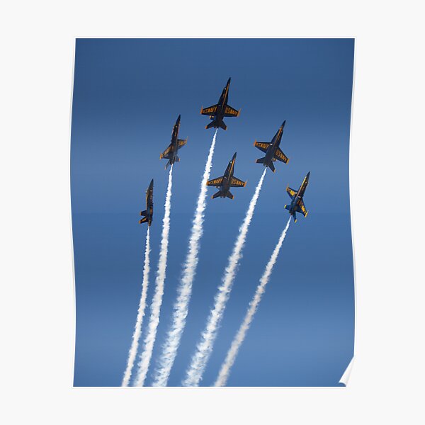 Blue Bouqet Poster