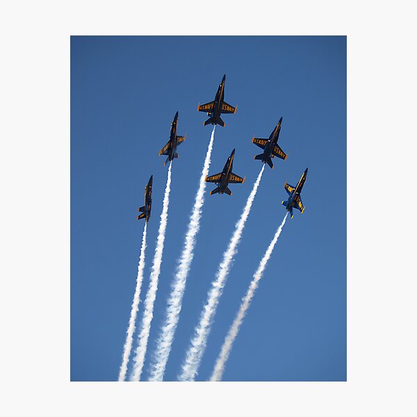 Blue Bouqet Photographic Print