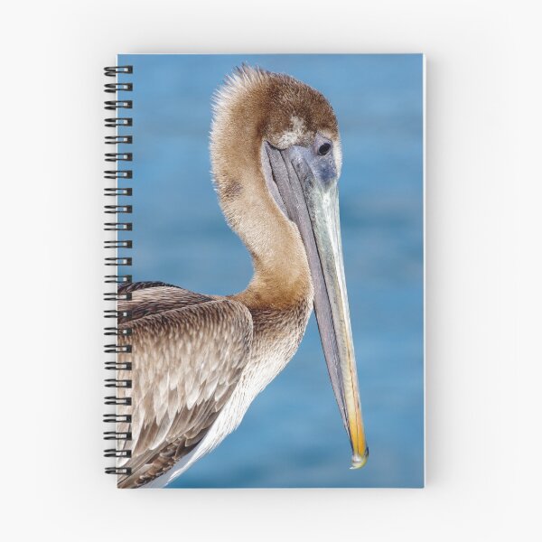 Item preview, Brown Pelican Fishing California designed and sold by howardbragen.