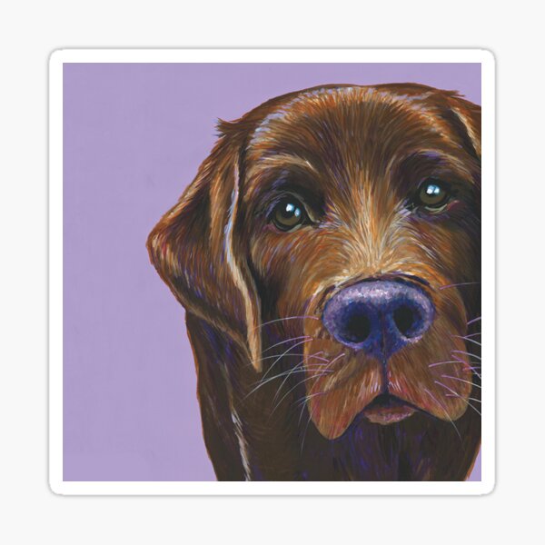 Chocolate Labrador on Lilac Sticker