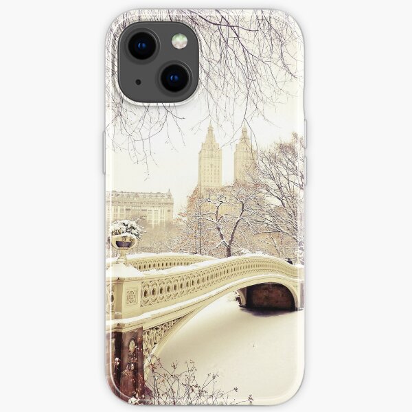 Winter in Central Park iPhone Soft Case