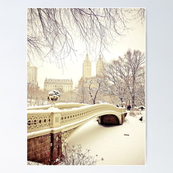Winter in Central Park Poster