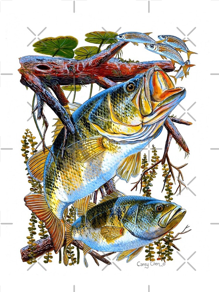 Bass Undercover by Bluemarlin