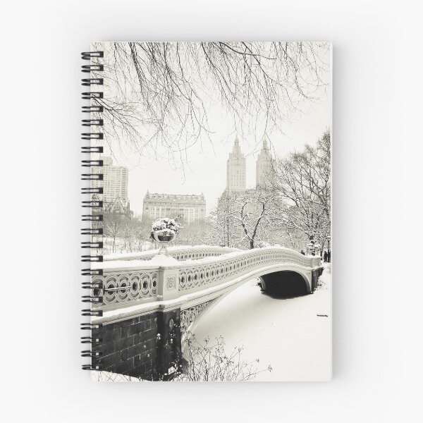 Item preview, Winter - Central Park - Bow Bridge - New York City designed and sold by Vivienne Gucwa.