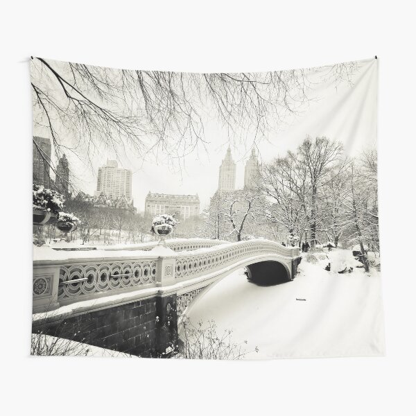 Artikel-Vorschau von Winter - Central Park - Bogenbrücke - New York City, designt und verkauft von Vivienne Gucwa.