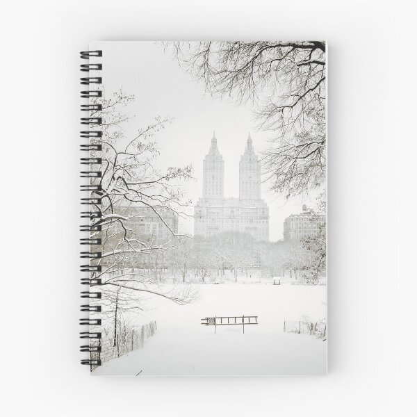Item preview, Suspended - Central Park - Winter  designed and sold by Vivienne Gucwa.