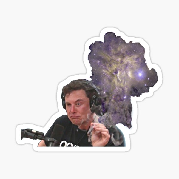 Elon Musk Hochfunktionell Sticker