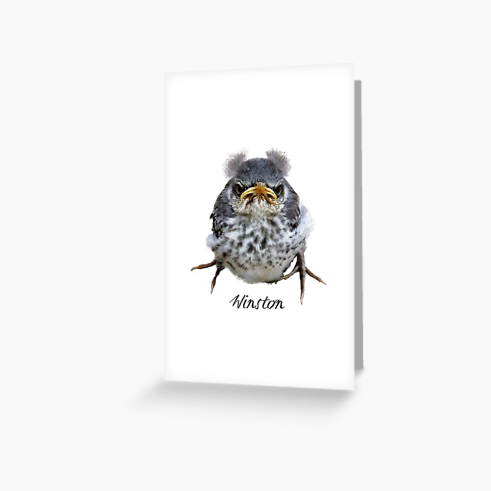 Item preview, Greeting Card designed and sold by WarrenPHarris.