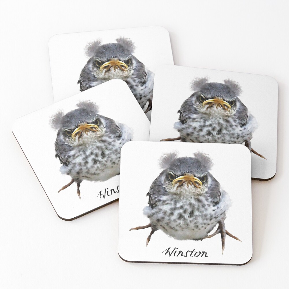 Item preview, Coasters (Set of 4) designed and sold by WarrenPHarris.