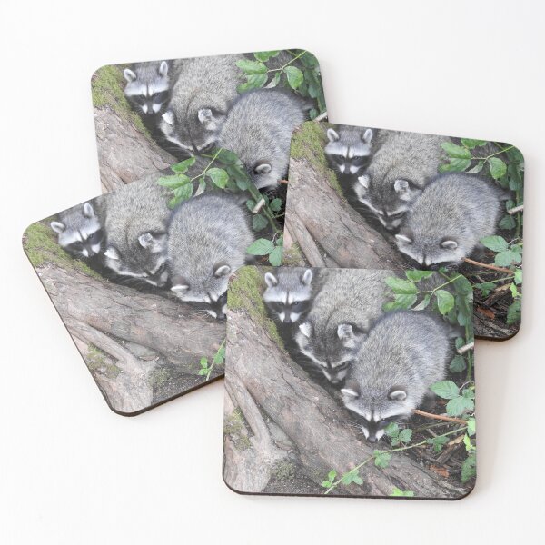 Item preview, Three little raccoons all in a row designed and sold by RichImage.