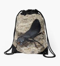 Devil's Coach Horse Beetle Drawstring Bag