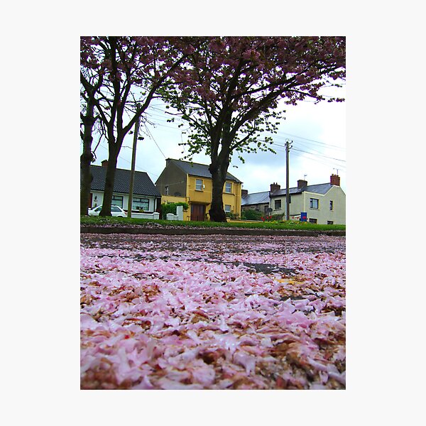 Item preview, Cherry blossom on the Old Hill designed and sold by Munich.