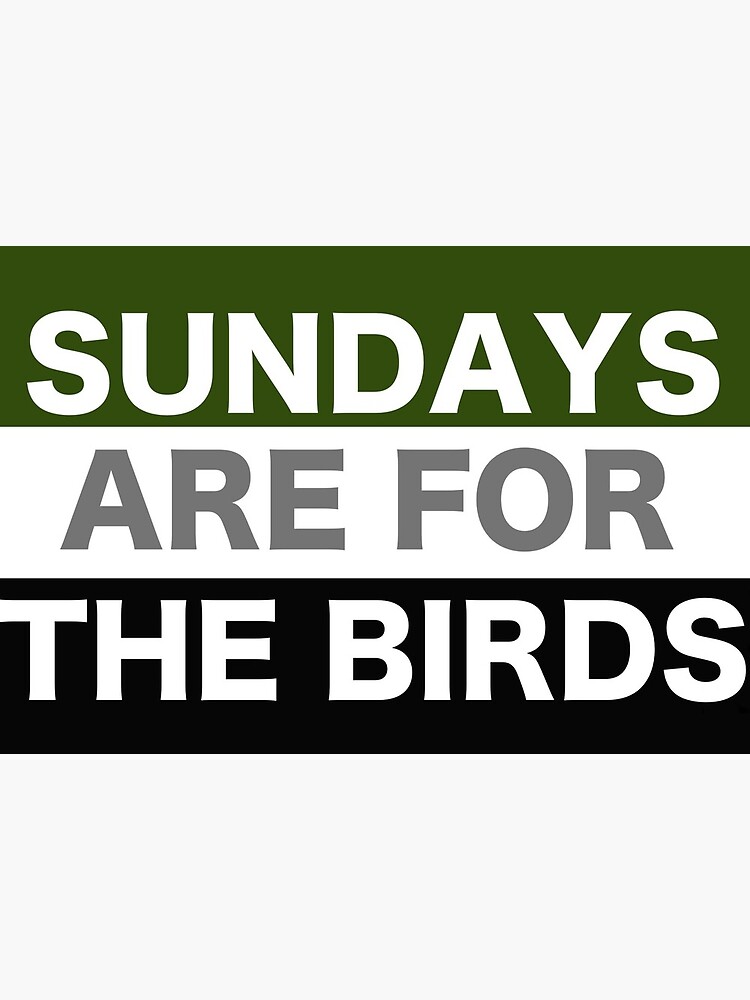 SUNDAYS ARE FOR THE BIRDS (EAGLES) | Art Board Print