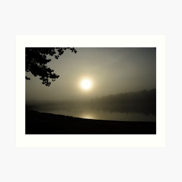 Foggy Morn Art Print