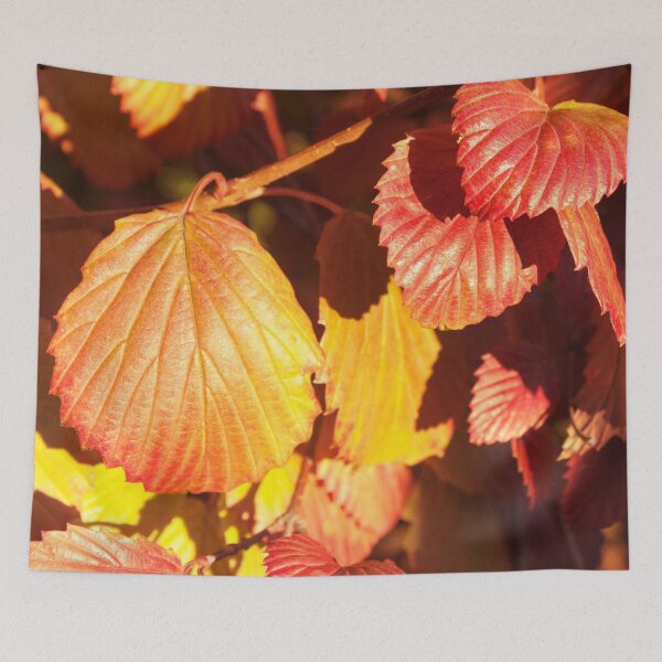 Item preview, Autumn Leaves Photography Print designed and sold by griffingphoto.