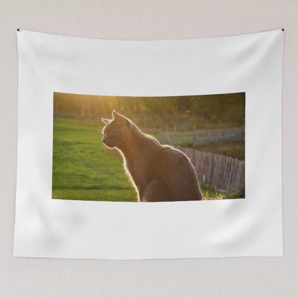 Item preview, Halo Kitty designed and sold by colorfulbundles.