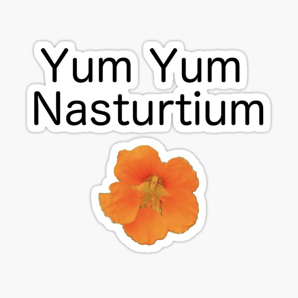 Yum Yum Nasturtium Sticker