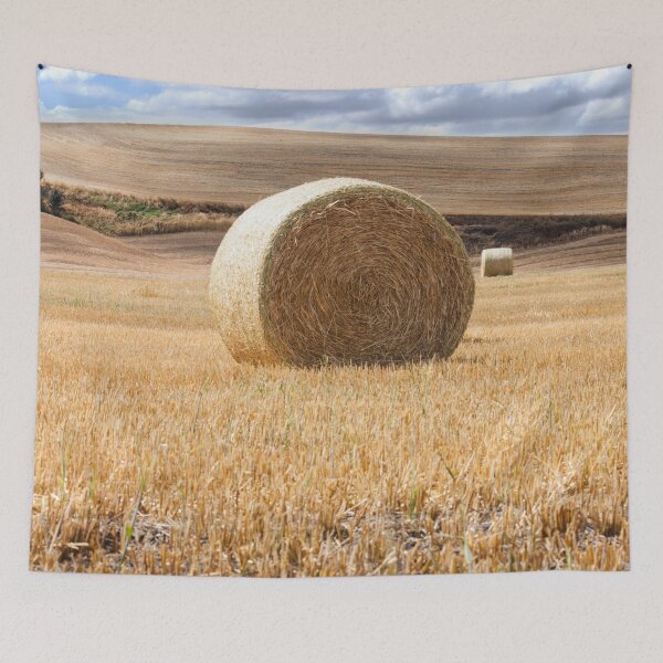 Item preview, Hay Bale Photography Print designed and sold by griffingphoto.
