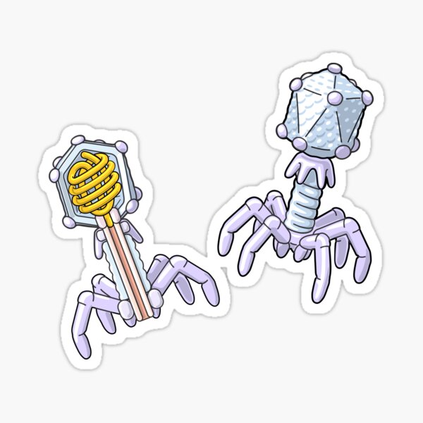 Bacteriophage Structure Illustration Sticker