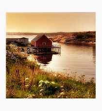 Peggy's Evening Photographic Print