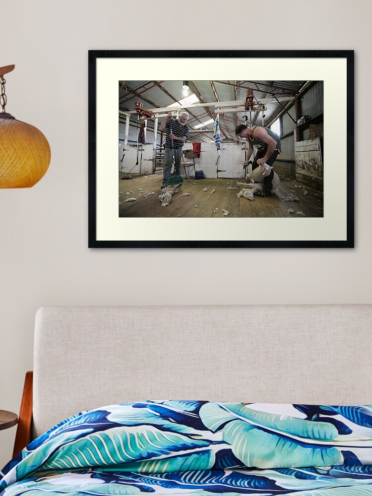 Thumbnail 2 of 7, Framed Art Print, Shearers, Logan, Victoria, Australia designed and sold by Chockstone.