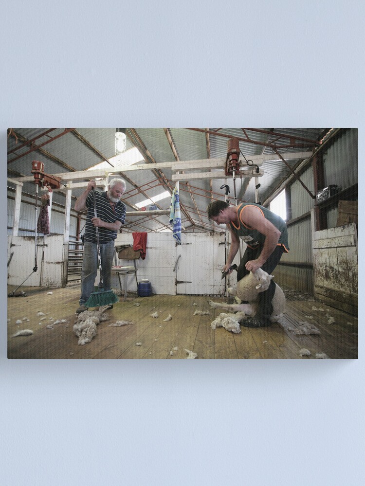 Thumbnail 1 of 3, Canvas Print, Shearers, Logan, Victoria, Australia designed and sold by Chockstone.
