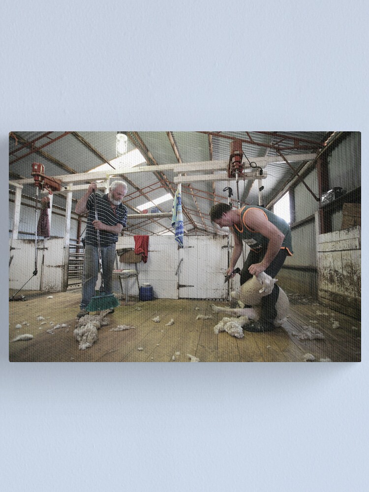 Thumbnail 1 of 3, Canvas Print, Shearers, Logan, Victoria, Australia designed and sold by Chockstone.