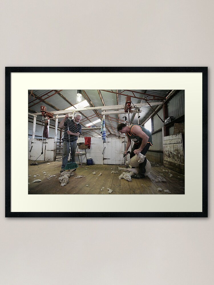 Thumbnail 1 of 7, Framed Art Print, Shearers, Logan, Victoria, Australia designed and sold by Chockstone.
