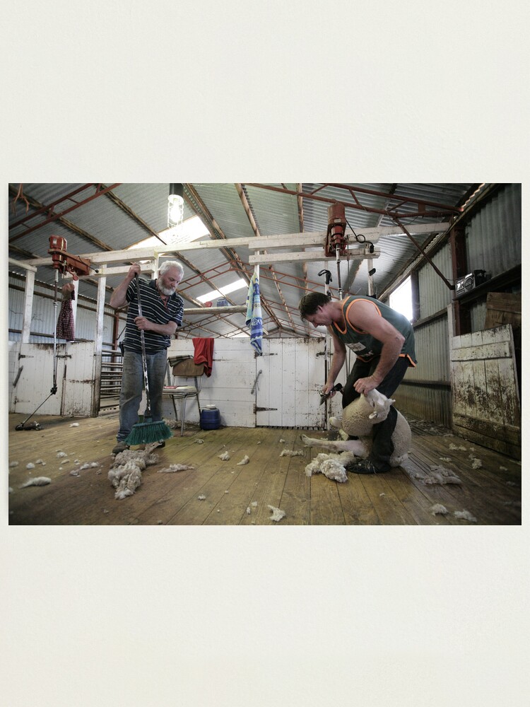 Thumbnail 1 of 3, Photographic Print, Shearers, Logan, Victoria, Australia designed and sold by Chockstone.
