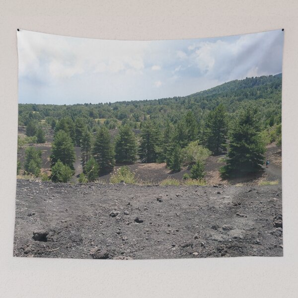 Item preview, Photograph of the landscape in the Etna National Park designed and sold by PM-Artistic.