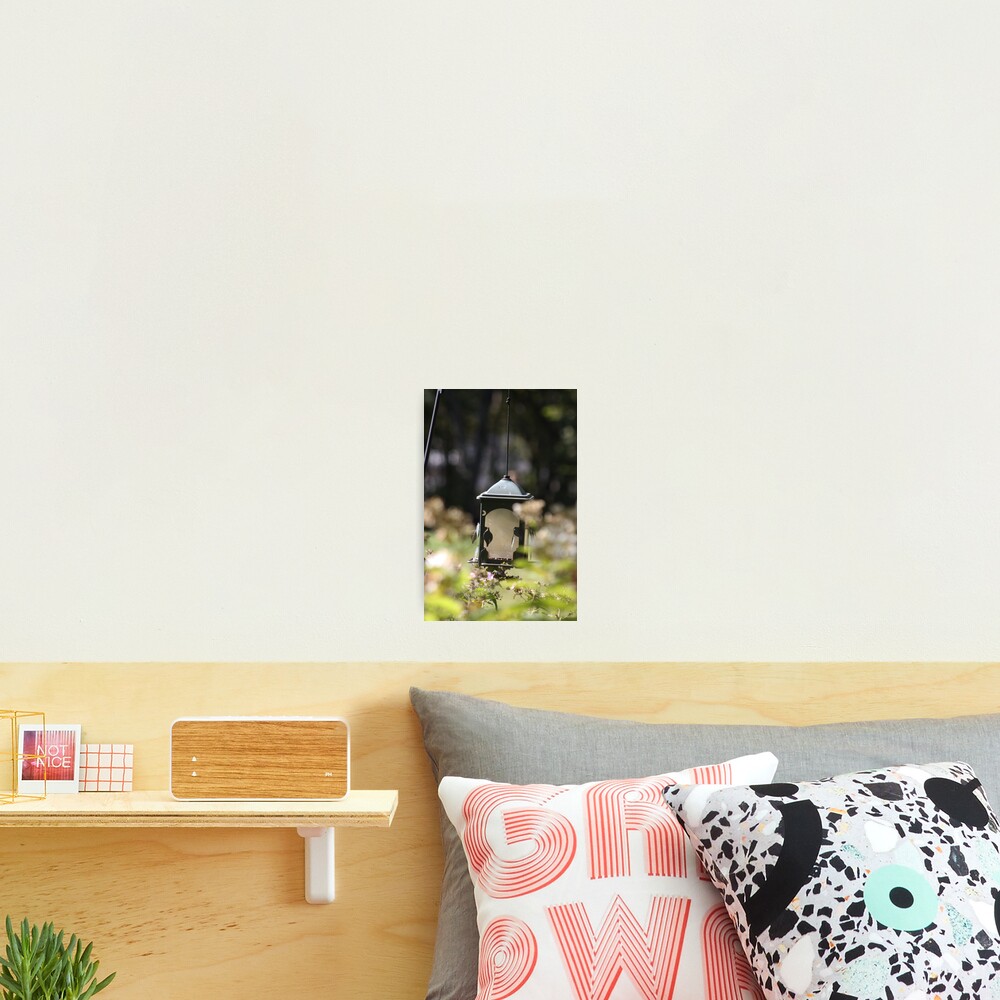 Item preview, Photographic Print designed and sold by Boo7.