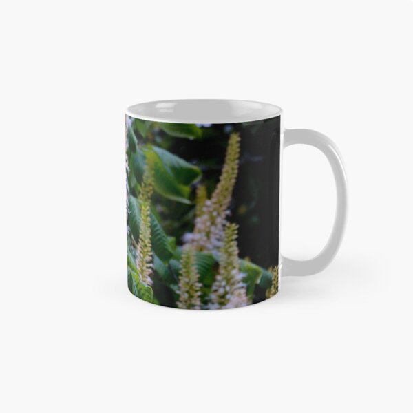 Item preview, Orostachys fimbriata designed and sold by Asiantiger247.