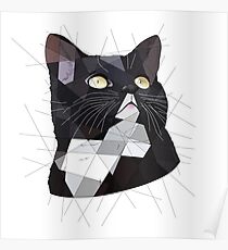Tuxedo Cat Poster