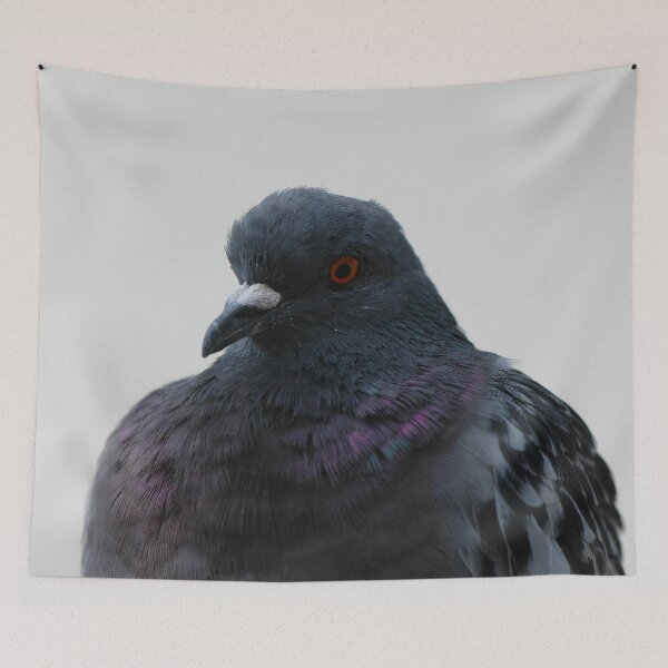 Item preview, Have you finished? I have other photo shoots designed and sold by Nerone.