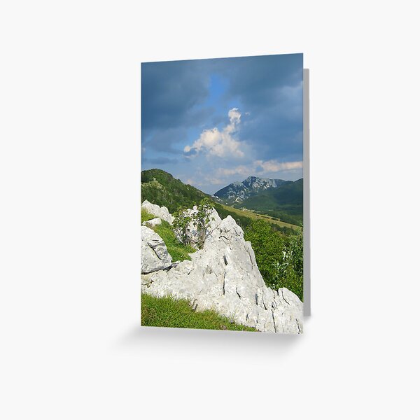FOREVER GREEN Greeting Card