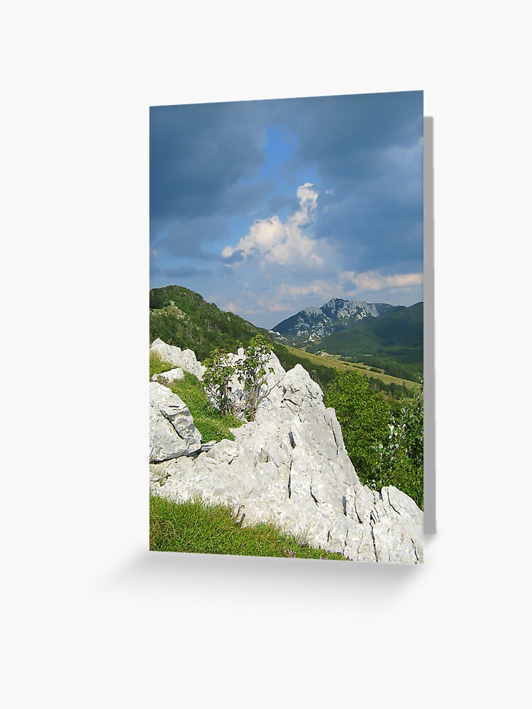 Thumbnail 1 of 2, Greeting Card, FOREVER GREEN designed and sold by TatianaMichaela.