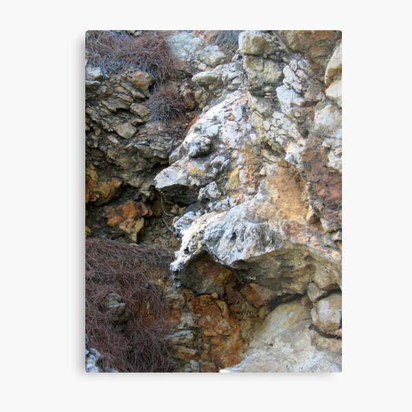 WITCH OF THE ISLAND Metal Print