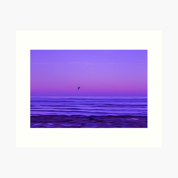 Flying Solo Art Print