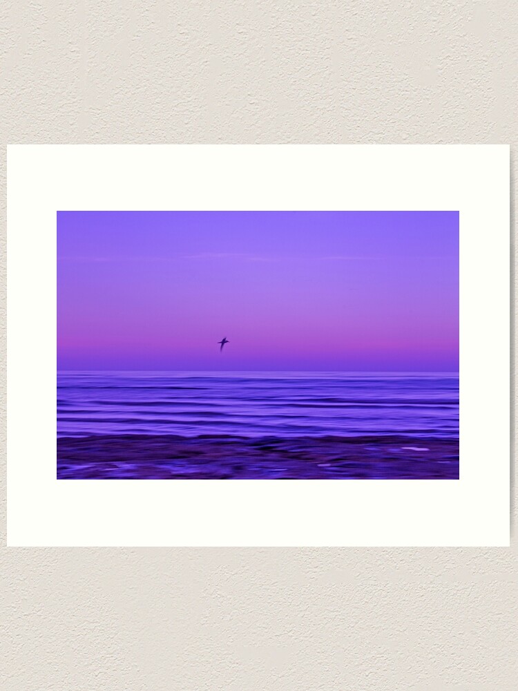 Thumbnail 1 of 3, Art Print, Flying Solo designed and sold by KimOgdenPhotos.