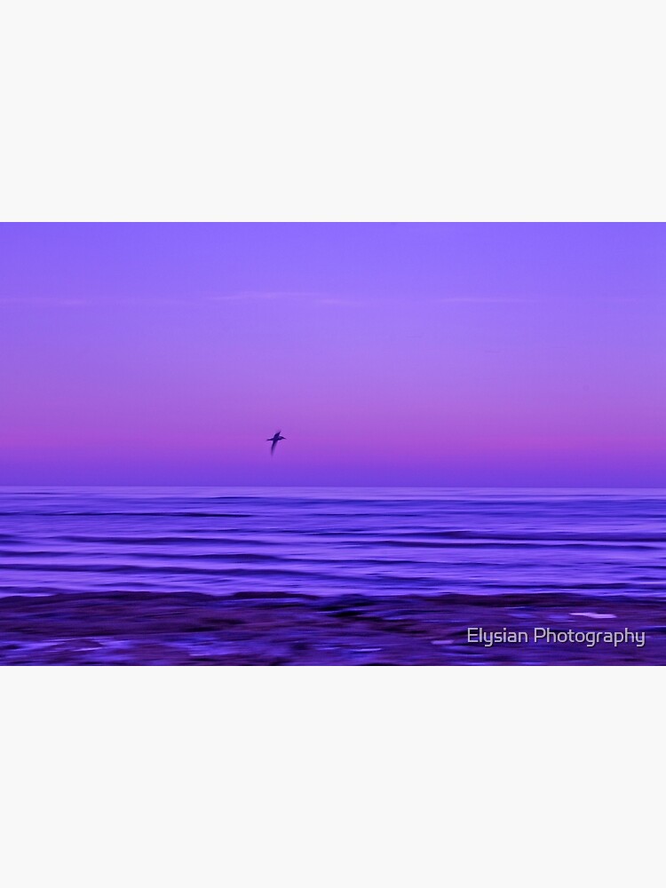 Thumbnail 3 of 3, Art Print, Flying Solo designed and sold by KimOgdenPhotos.