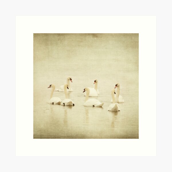 Item preview, Seven swans a-swimming... designed and sold by Marie Palcic.