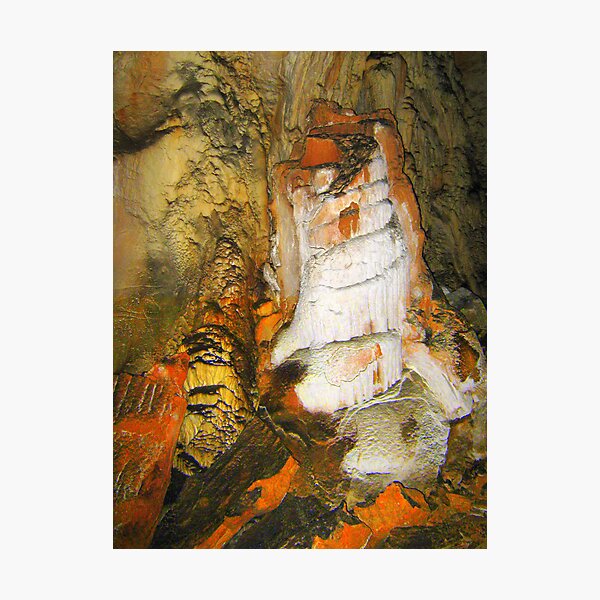Photographic Print