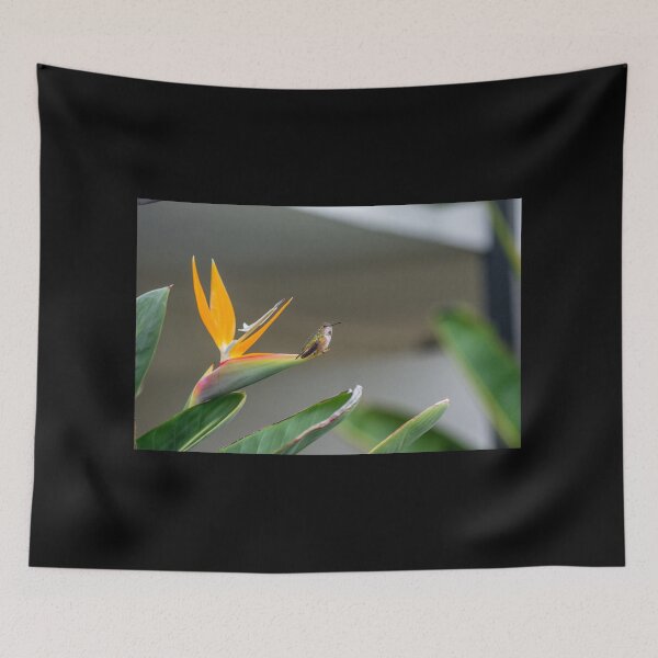 Item preview, Hummingbird on Bird of Paradise Flower designed and sold by howardbragen.