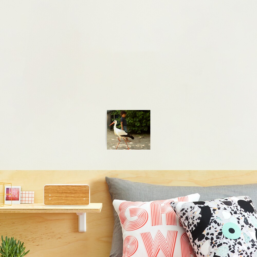 Item preview, Photographic Print designed and sold by steppeland.
