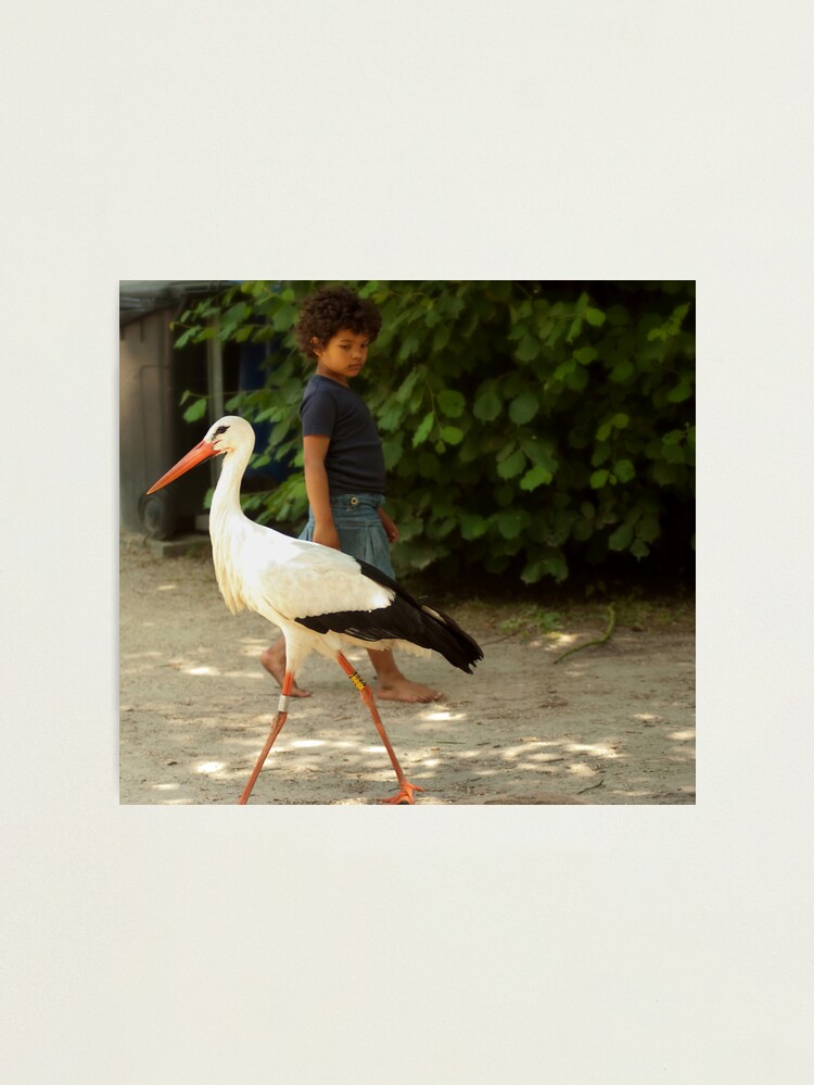 Thumbnail 1 of 3, Photographic Print, Girl and stork designed and sold by steppeland.