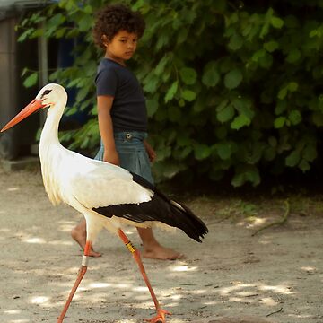 Artwork thumbnail, Girl and stork by steppeland