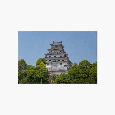Medieval japanese castle of Karatsu in Japan Art Board Print