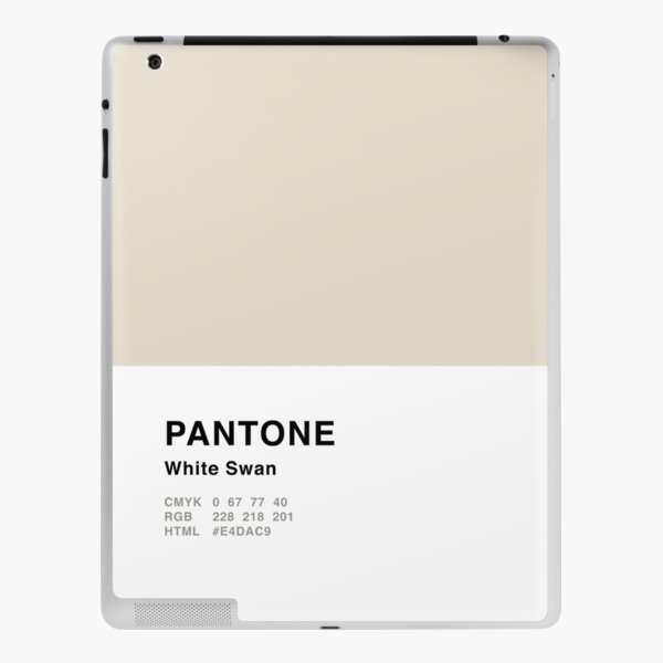 Tangerine Orange Pantone Simple Design iPad Case & Skin for Sale by  MightyOwlDesign